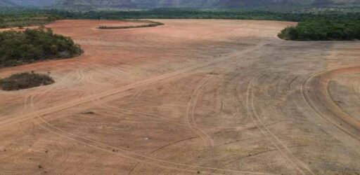 Estudo aponta risco de desmatamento bilionário na Amazônia com possível fim da Moratória da Soja