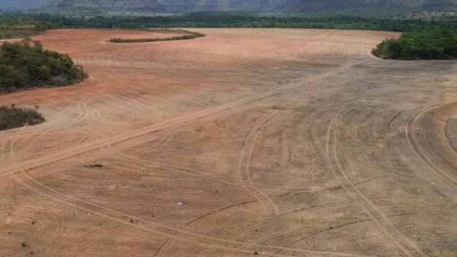 Estudo aponta risco de desmatamento bilionário na Amazônia com possível fim da Moratória da Soja