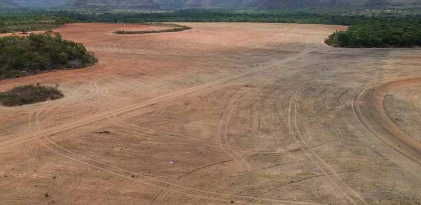 Estudo aponta risco de desmatamento bilionário na Amazônia com possível fim da Moratória da Soja