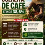 Colheita de café atinge 38,6% sob influência do clima favorável em Minas e São Paulo