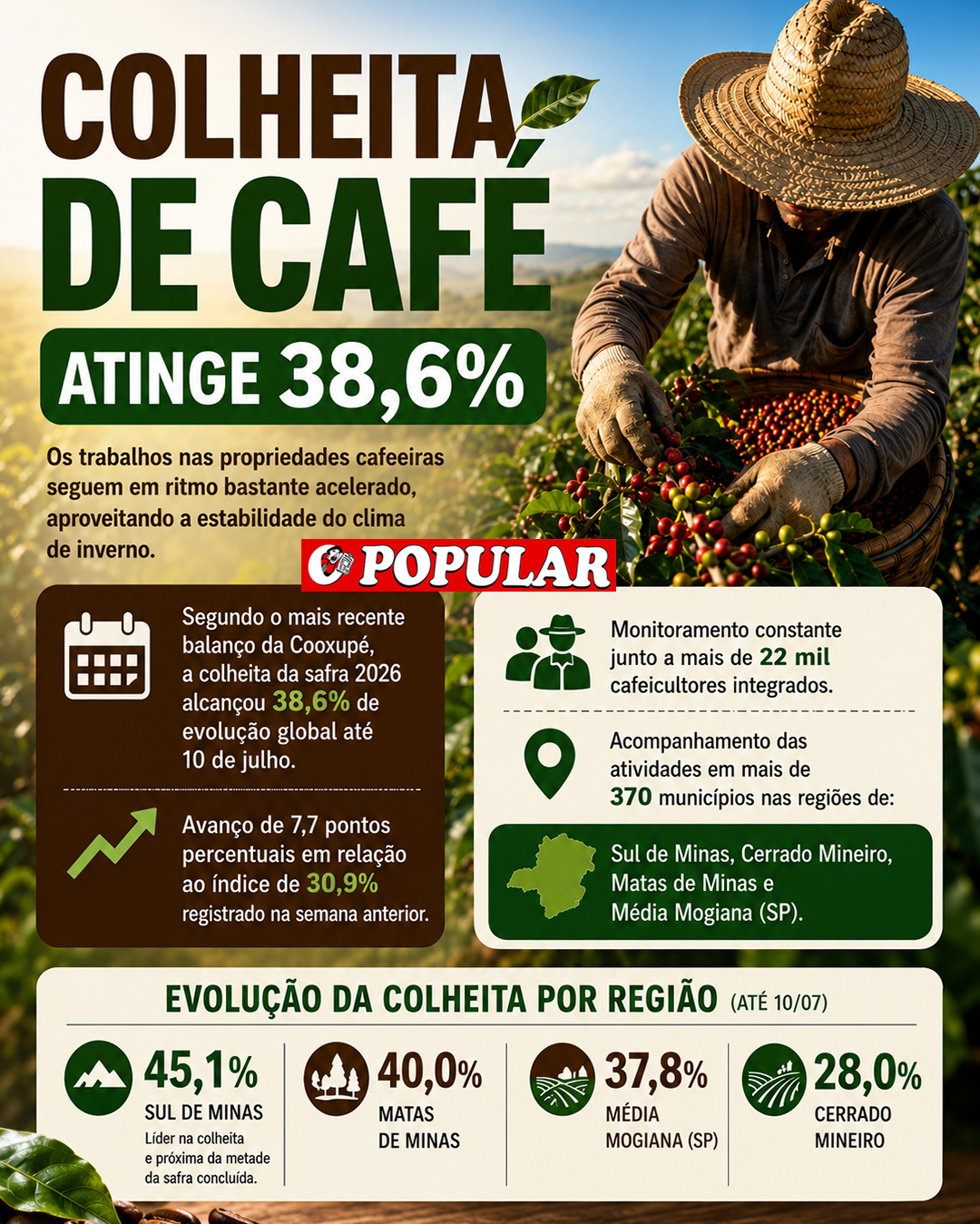 Colheita de café atinge 38,6% sob influência do clima favorável em Minas e São Paulo