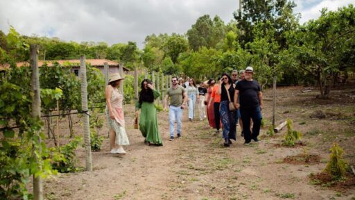 Turismo de experiência impulsiona vinícola familiar em Pará de Minas