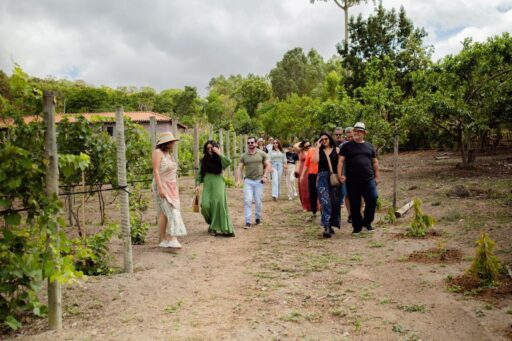 Turismo de experiência impulsiona vinícola familiar em Pará de Minas