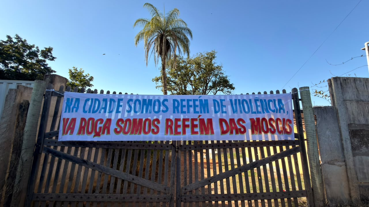 Moradores de Divinópolis protestam contra infestação de moscas e mau cheiro em zona rural