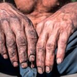 trabalho escravo em carvoaria de minas gerais leva a res 1785005270497