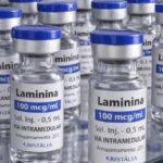 testes clinicos da polilaminina para lesoes medulares co 1789668082638