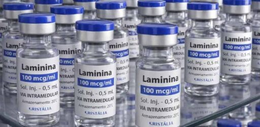 Testes clínicos da polilaminina para lesões medulares começam em breve
