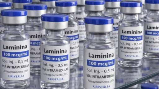 Testes clínicos da polilaminina para lesões medulares começam em breve
