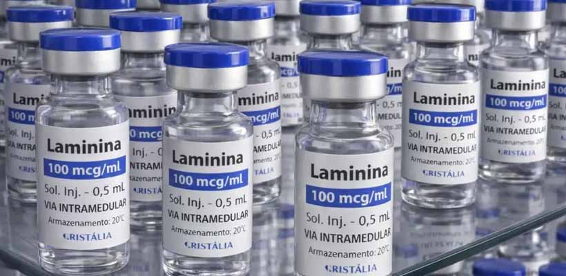 Testes clínicos da polilaminina para lesões medulares começam em breve
