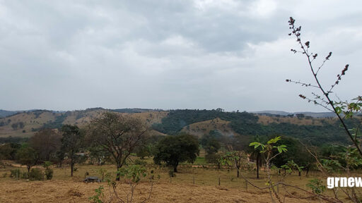 Desmatamento recua na Amazônia e no Cerrado com as menores marcas históricas